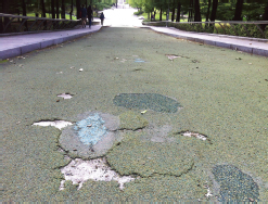 fault of Rubber tile