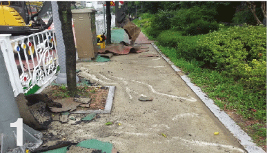 Remove Elasticity pavement