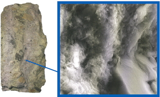  unification from adding latex